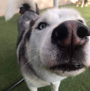 Meet your Posher, Eric